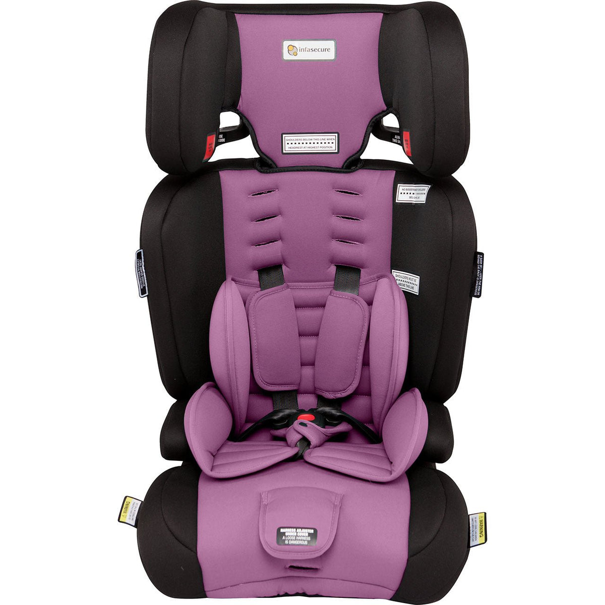 Astra Purple